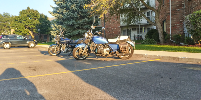 Illustration for article titled Got the Goldwing and the GS850G out for a little photoshoot.